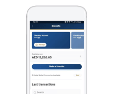 View Credit Card Transactions and Balance