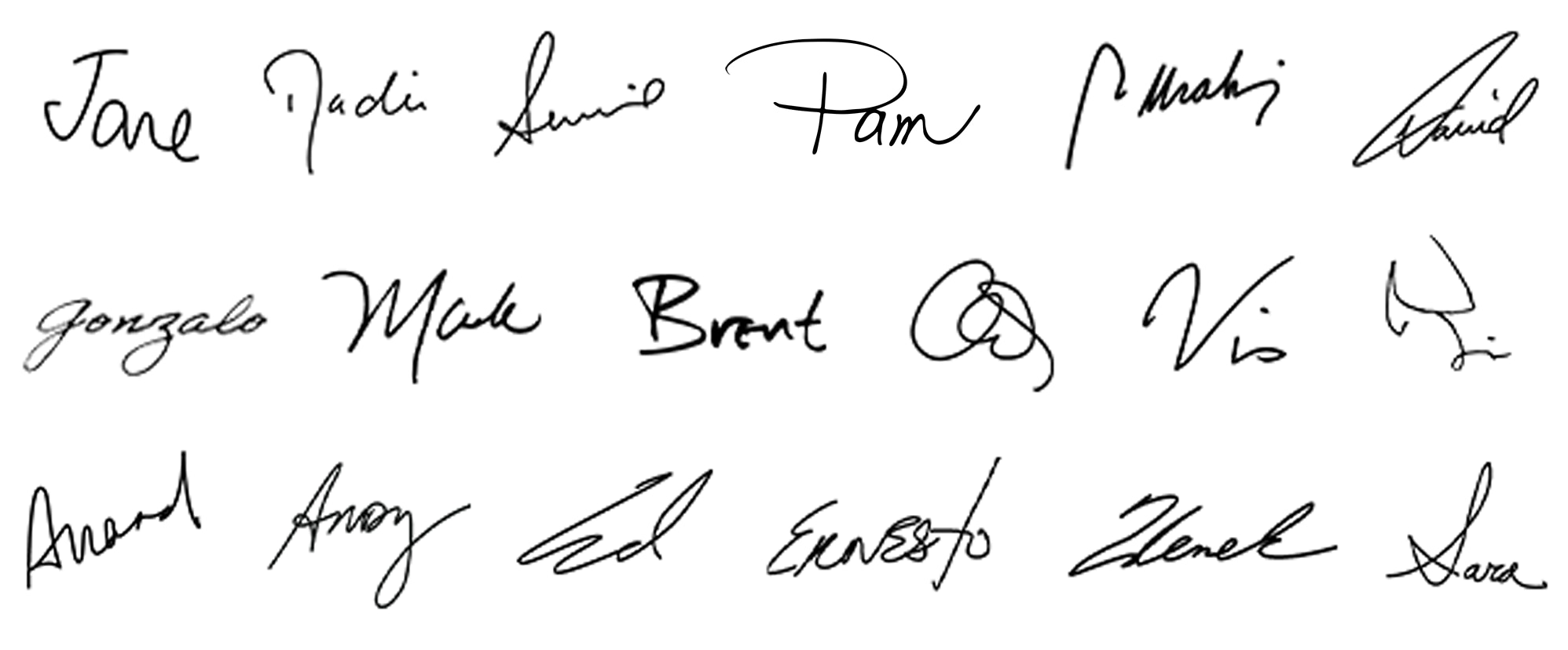 An image featuring 18 signatures from the Citi Executive Management Team.