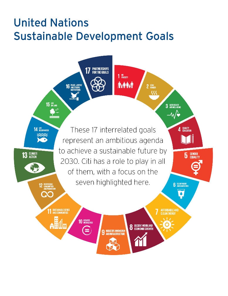 Citi and the UN Sustainable Development Goals