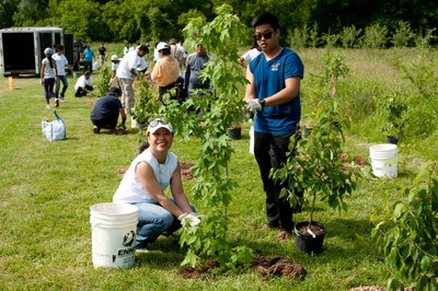 Citi Employees Test their Green Thumb with the City of Mississauga