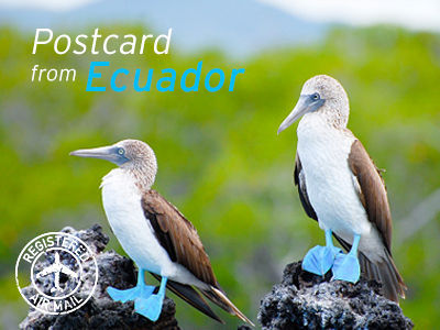 Postcard from Ecuador