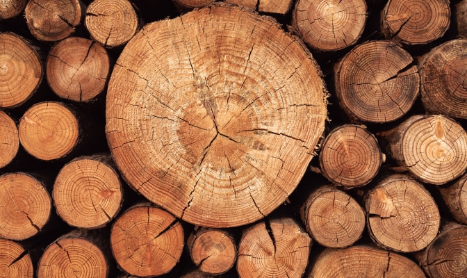 GettyImages-1188398441.png/