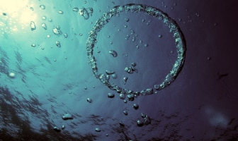 GettyImages-200018543-001.png/