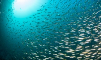 GettyImages-1409038747.png/