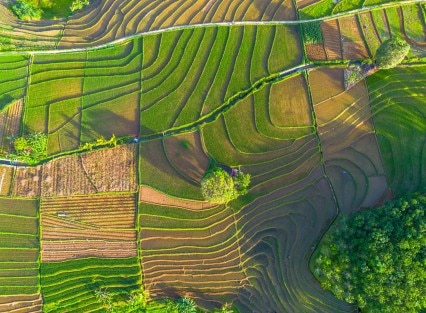 Scaling Healthcare: Building a Treasury Function for Every Stage of Growth