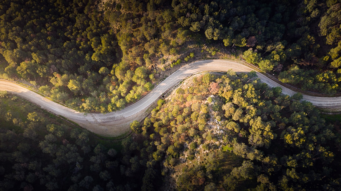 Arial view of curvy road surrounded by trees.