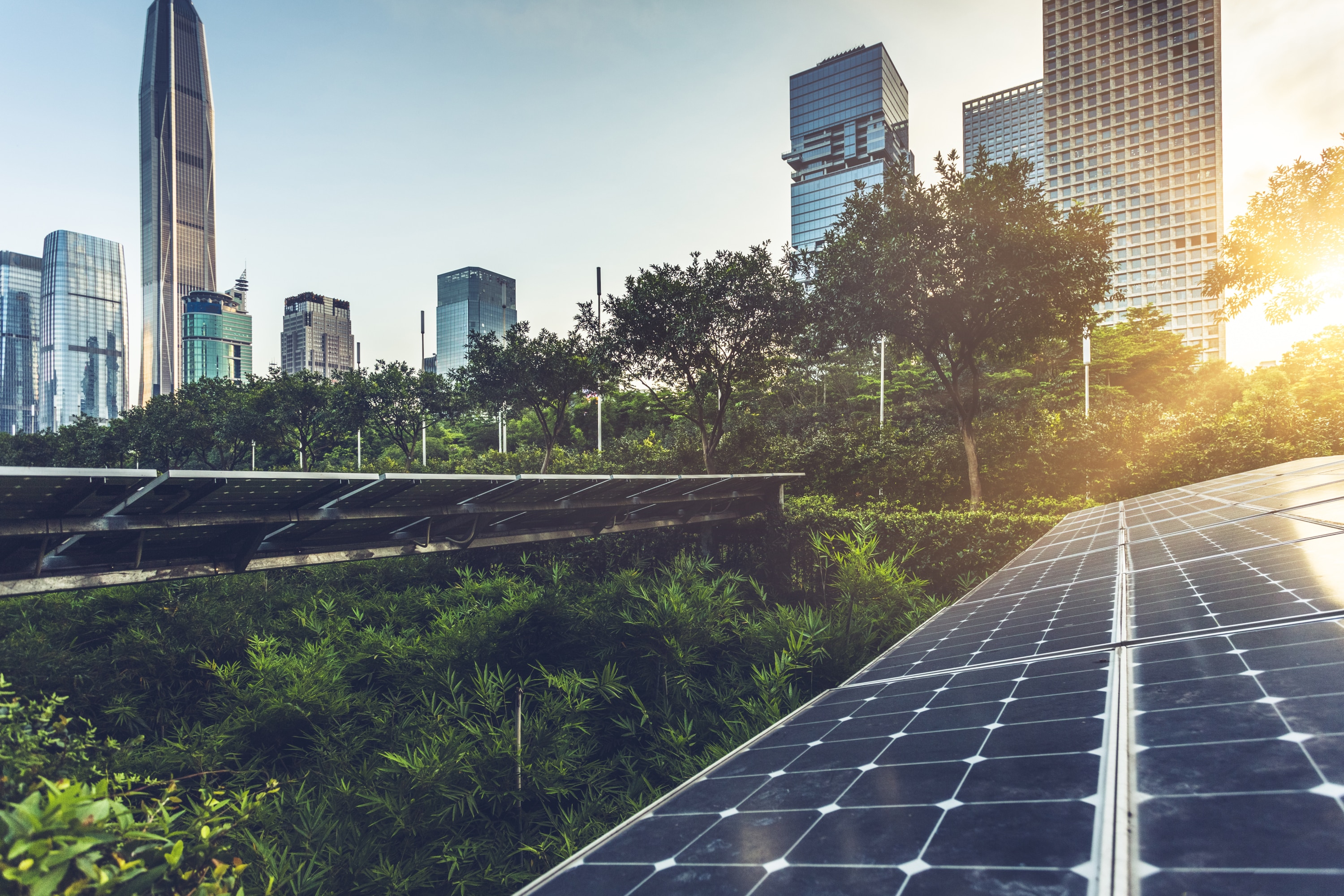 Asia skyline with trees and energy panels