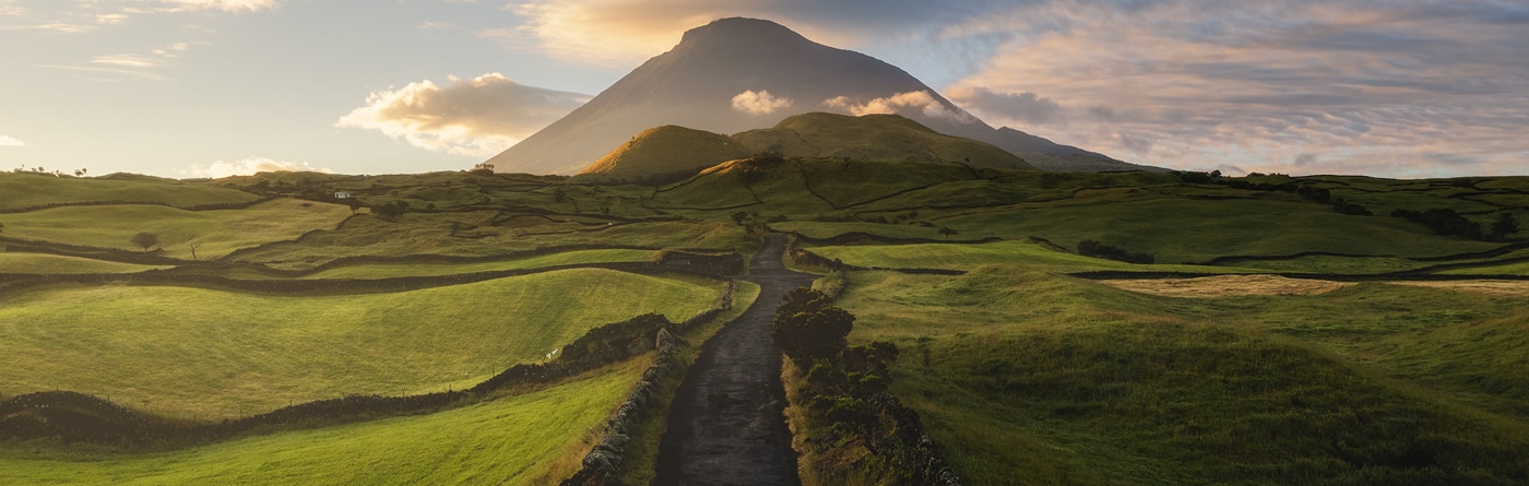 Green hills landscape