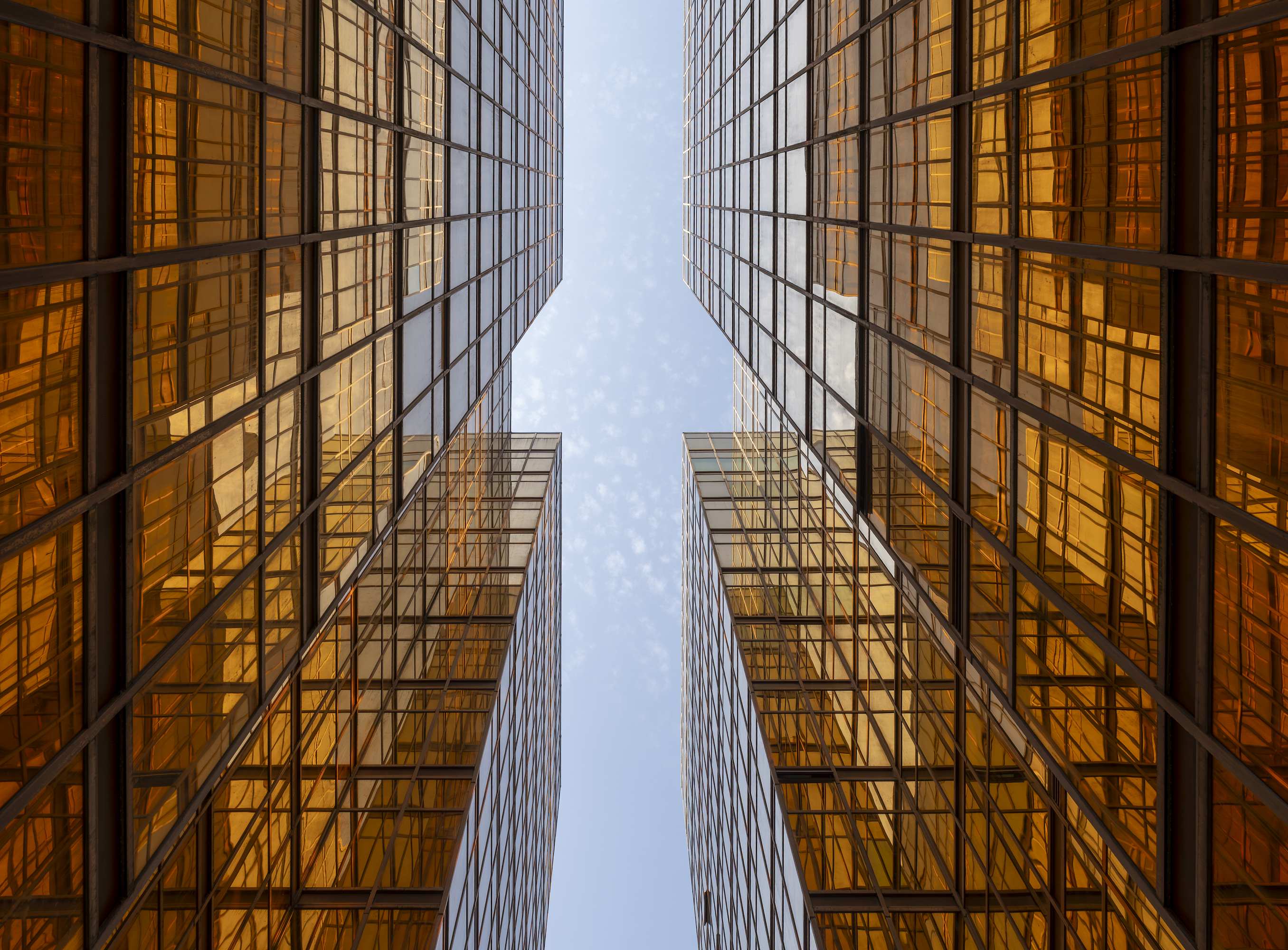 yellow skyline view from below