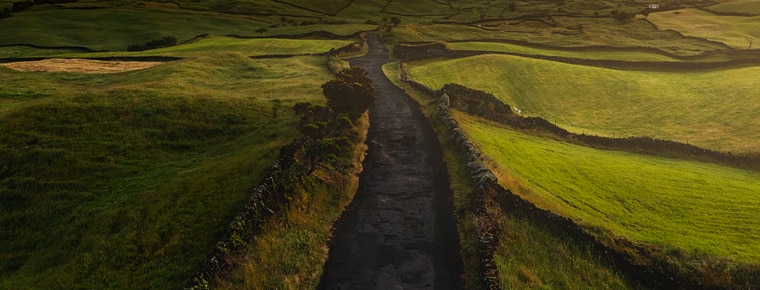 green hills landscape with connecting road