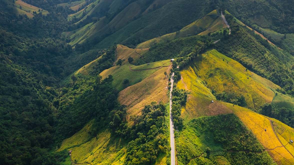 Aerial view of a narrow road winding along green mountain ridges surrounded by dense vegetation.